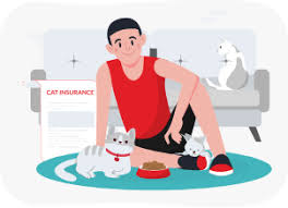 Best Pet Insurance for Senior Cats 